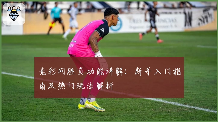 竞彩网胜负功能详解：新手入门指南及热门玩法解析