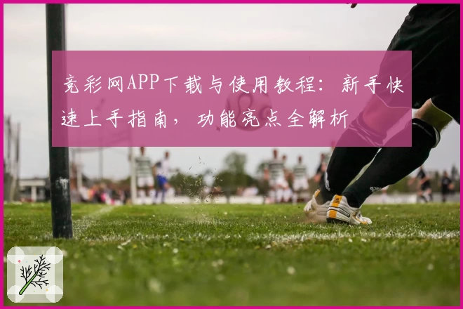 竞彩网APP下载与使用教程：新手快速上手指南，功能亮点全解析