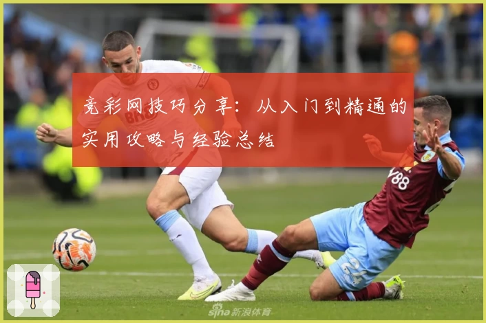 竞彩网技巧分享：从入门到精通的实用攻略与经验总结