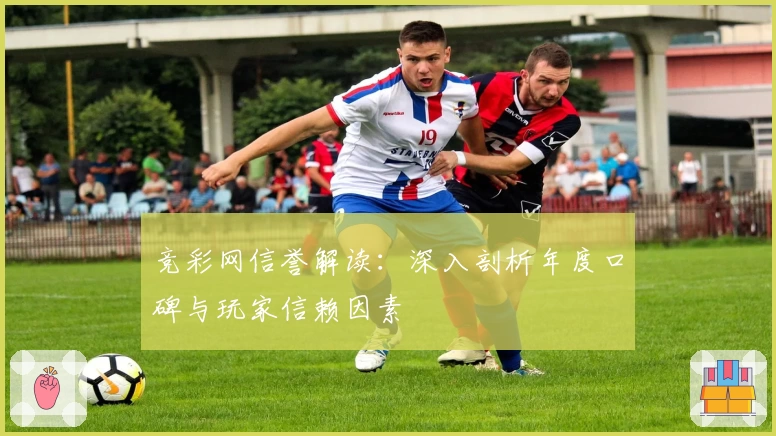 竞彩网信誉解读：深入剖析年度口碑与玩家信赖因素