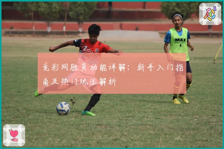 竞彩网胜负功能详解：新手入门指南及热门玩法解析